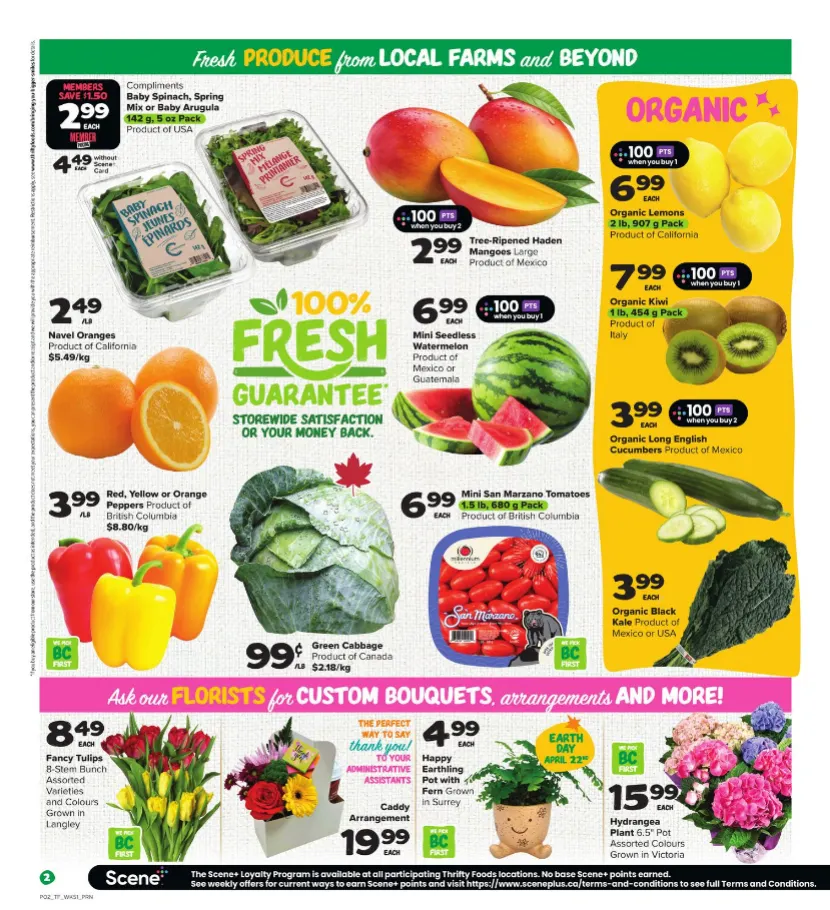 Thrifty Foods from April 16 to April 22 2026 - flyer page 4