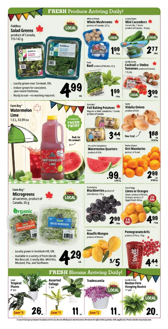 Farm Boy Sales from May 14 to May 20 2026 - flyer page 2