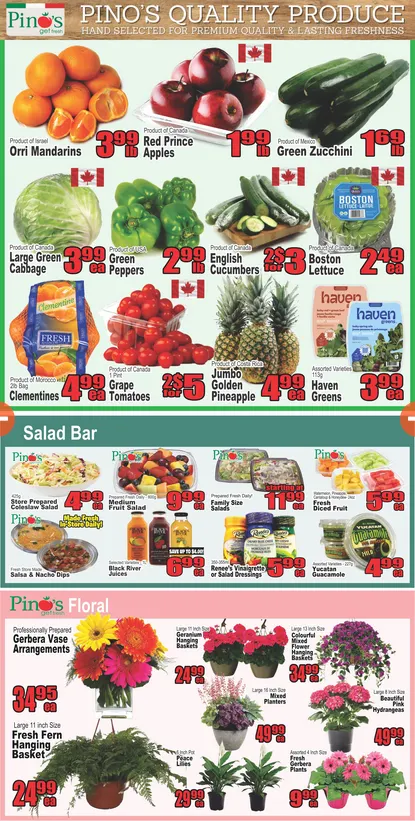 Pino's Sales from May 14 to May 20 2026 - flyer page 3