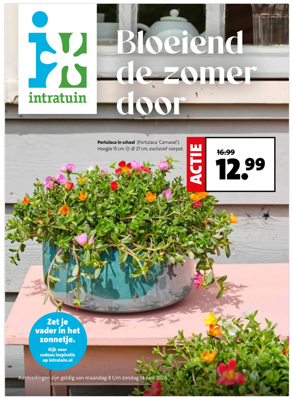 Intratuin folders van 8 juni tot 14 juni 2026 - Folder pagina