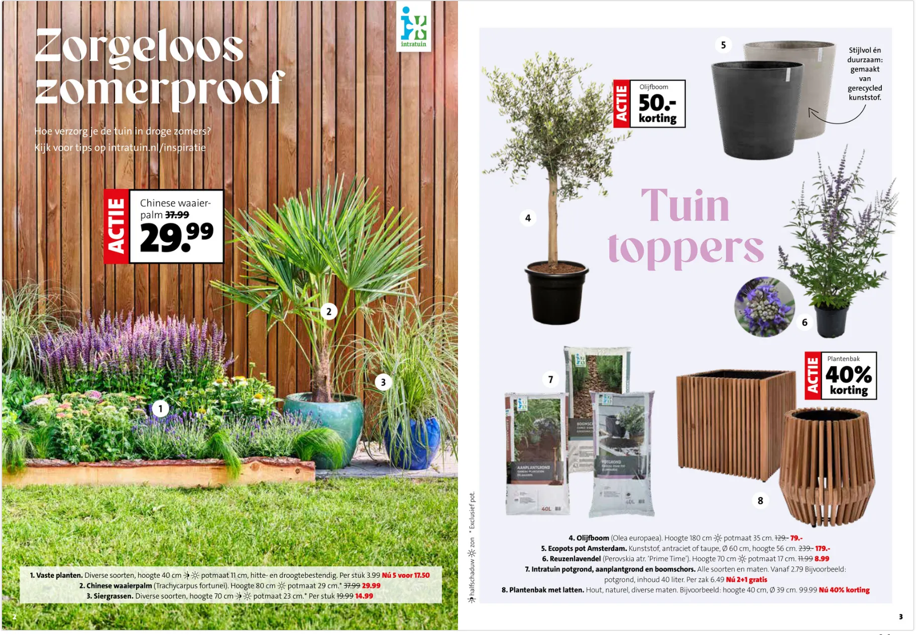  Intratuin folders van 8 juni tot 14 juni 2026 - Folder pagina 3
