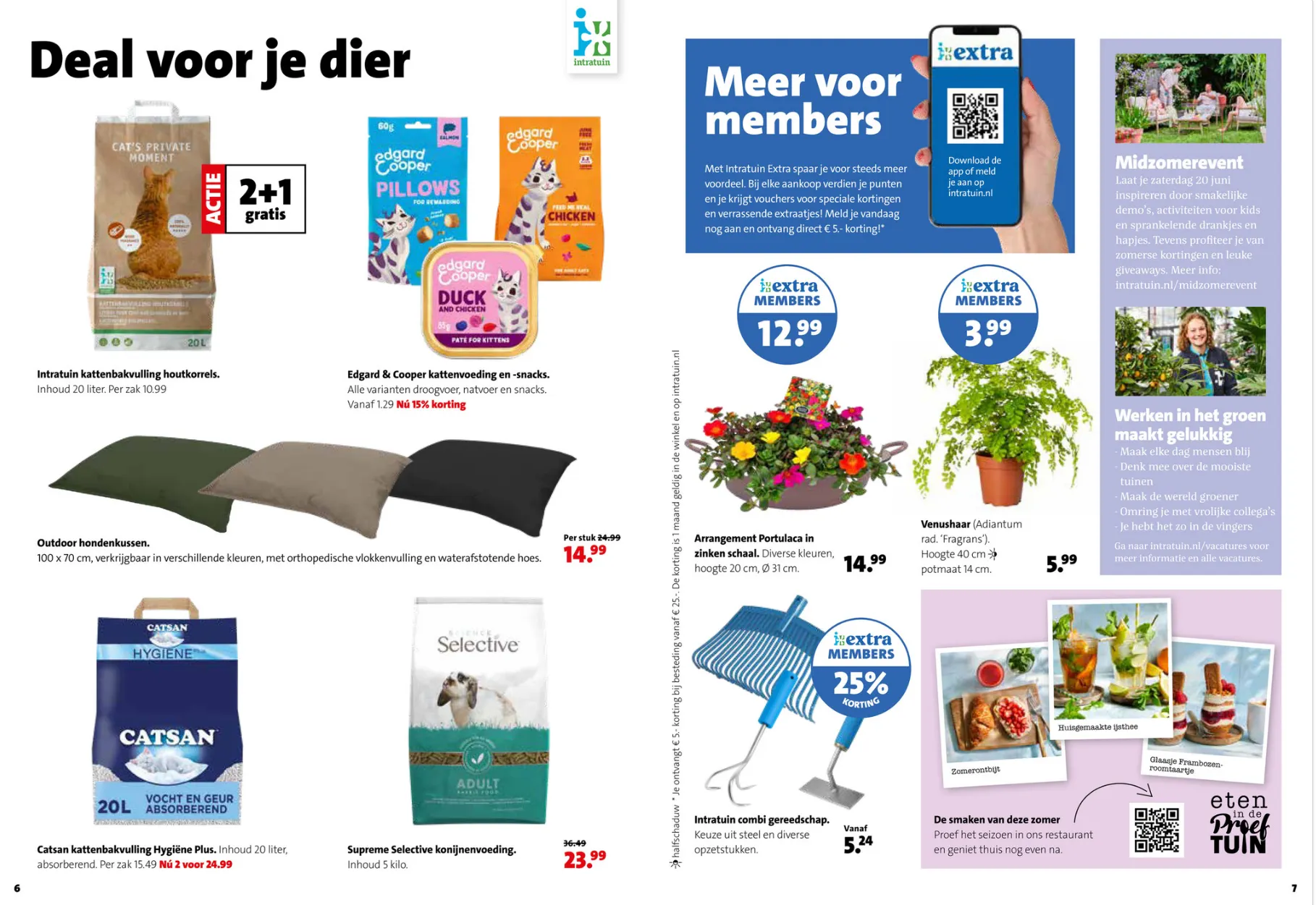  Intratuin folders van 8 juni tot 14 juni 2026 - Folder pagina 4