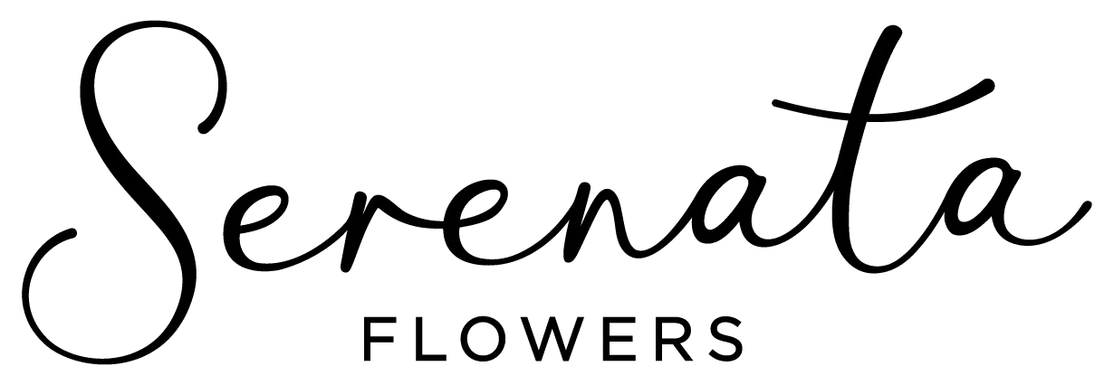 Serenata Flowers logo. Current catalogue