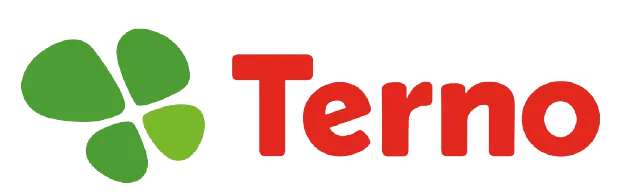Terno logo