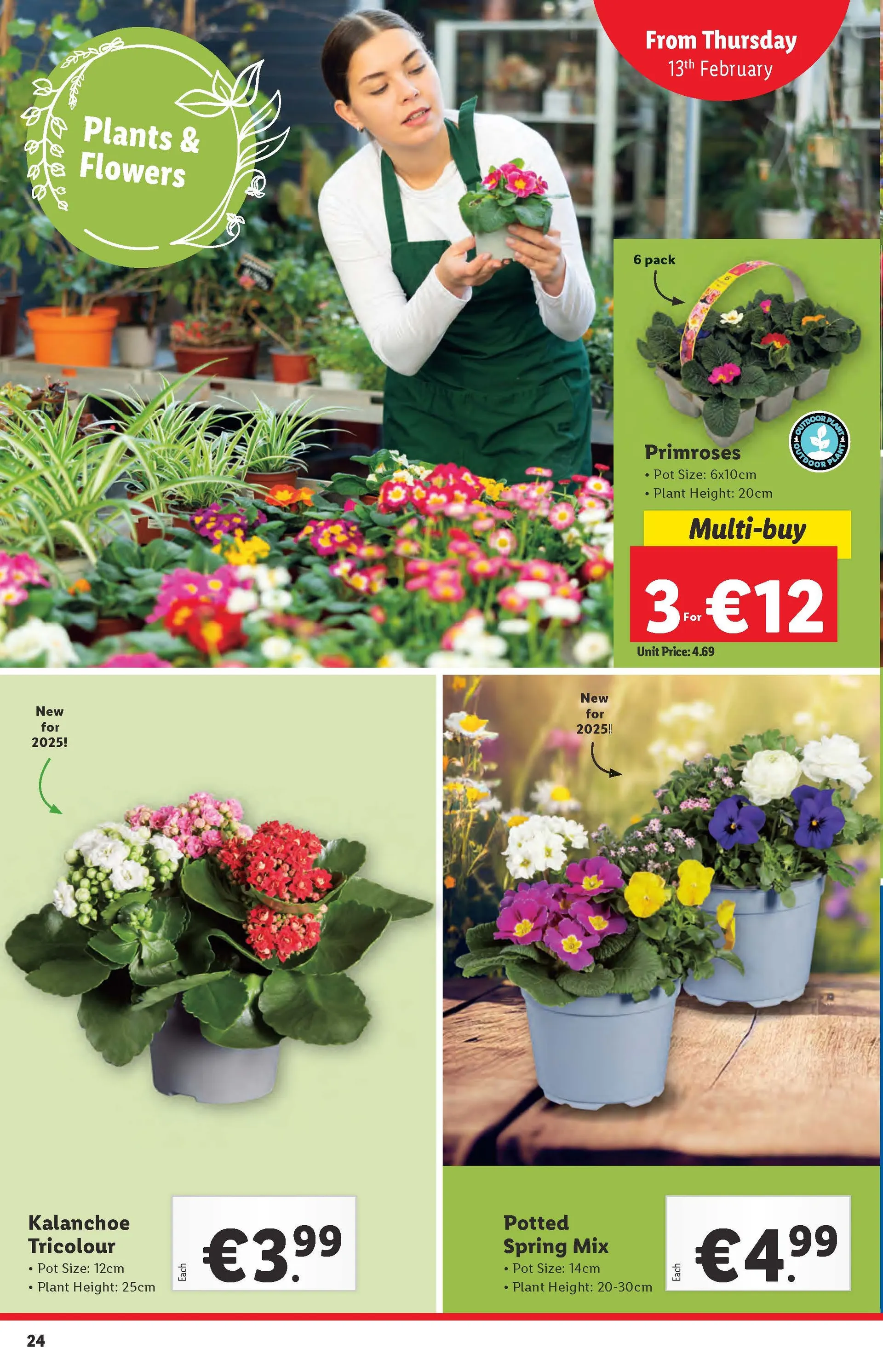 Lidl Weekly Offers - 19 February 20 February 2025 - Page 11