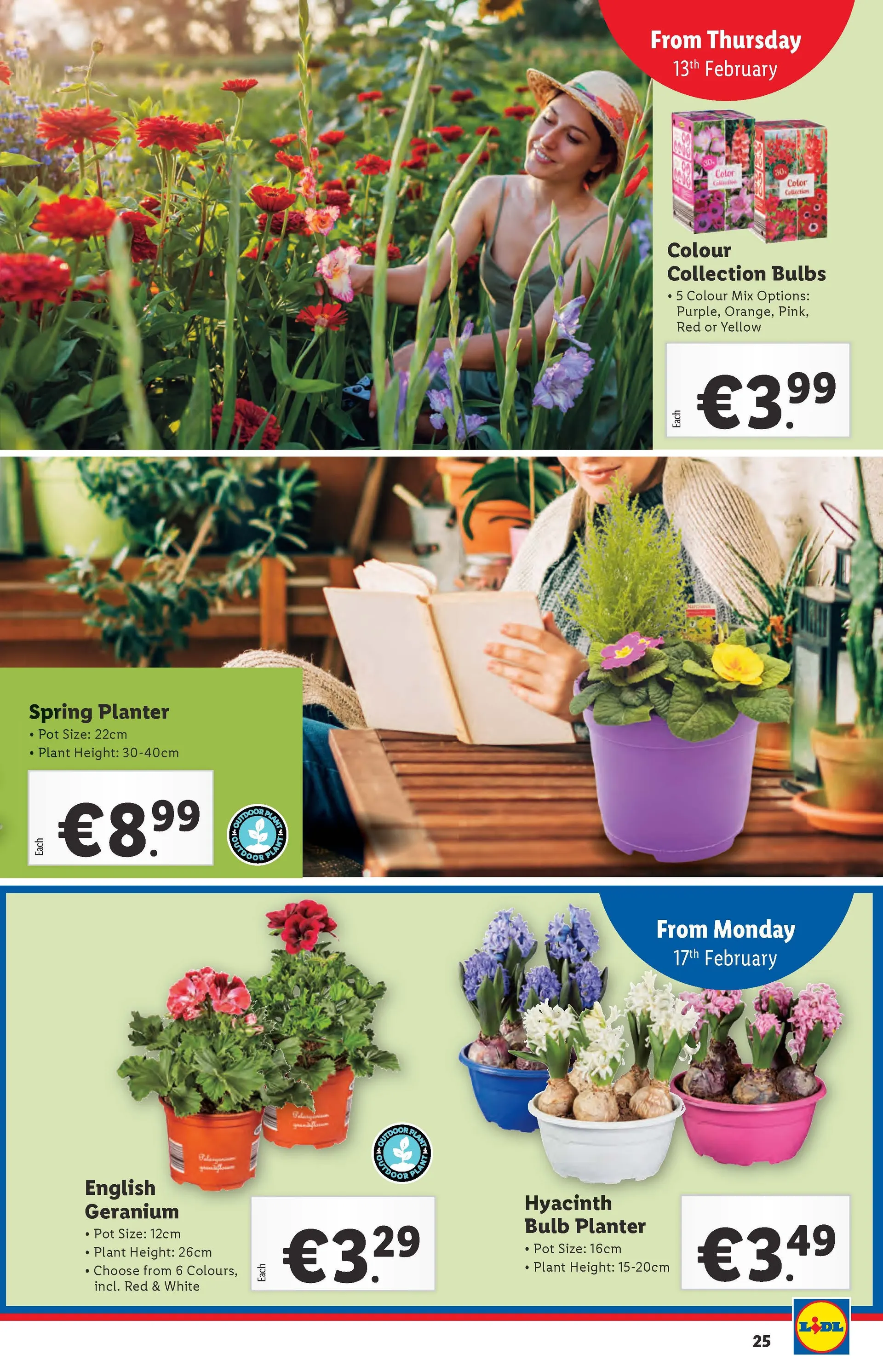 Lidl Weekly Offers - 19 February 20 February 2025 - Page 19