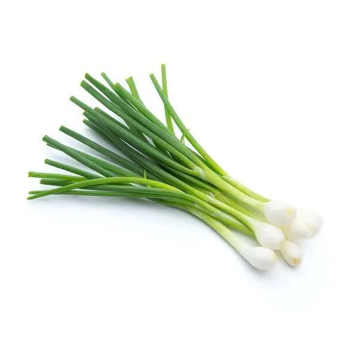 Spring Onion Leaves