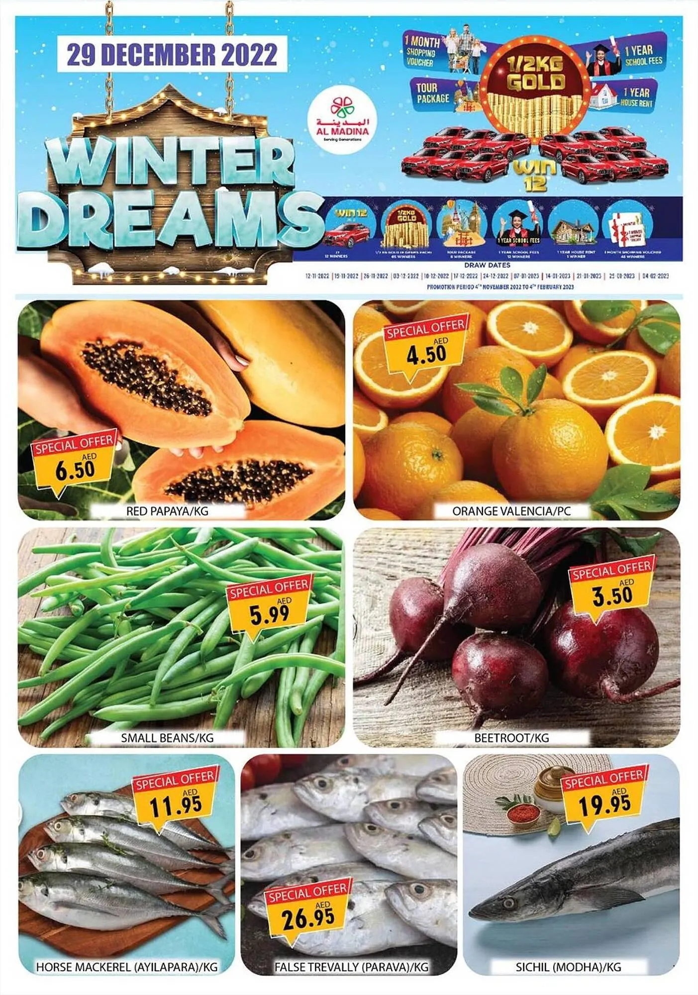 Al Madina catalogue from 29 December to 29 December 2023 - Offers page 3