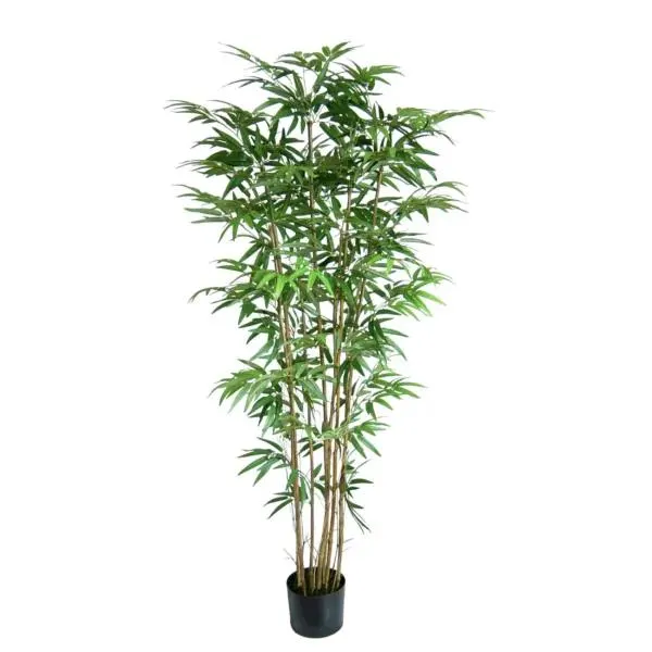 New Bamboo Tree 60″ Multi Bambusa Style