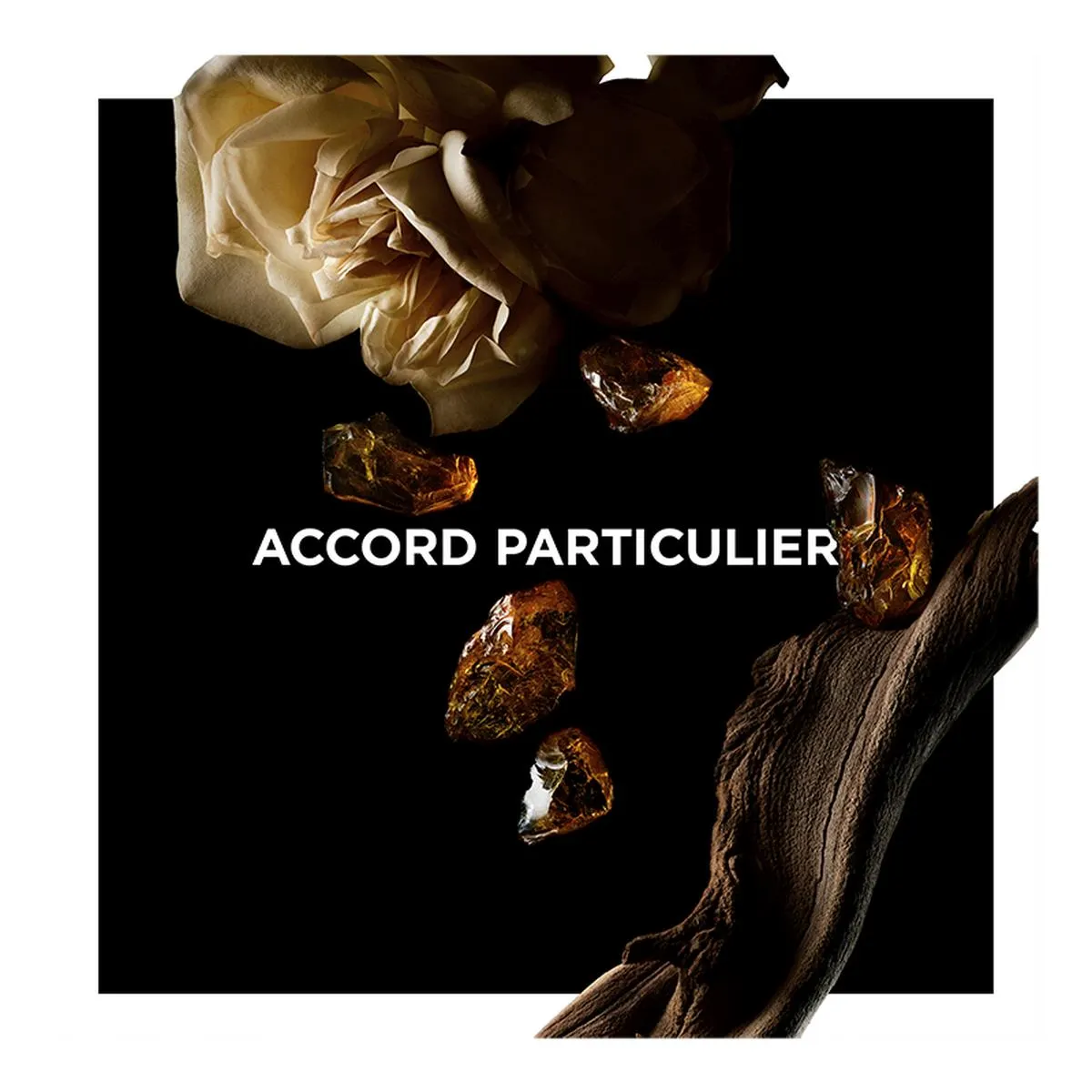 ACCORD PARTICULIER