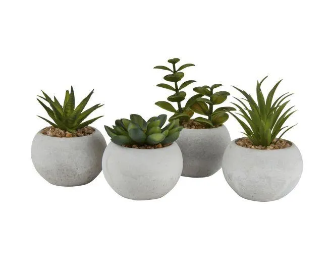 Artificial plant BROR 7xH9cm ass.