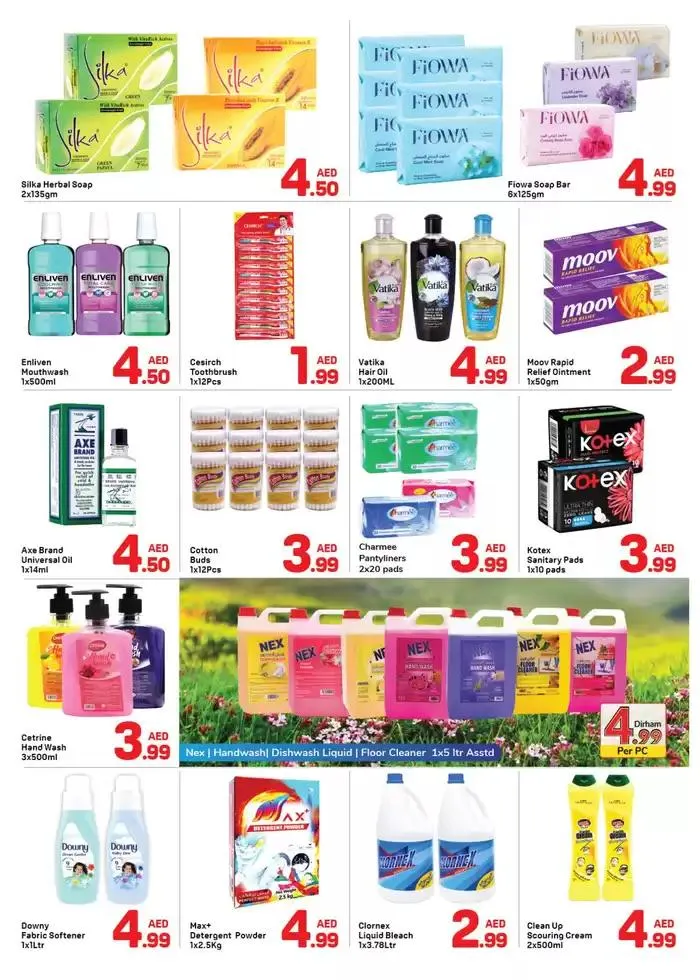 Day to Day promotion from 21 January to 28 January 2025 - Offers page 4
