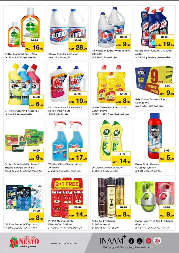 Nesto Festive February, Butina from 13 February to 17 February 2025 - Offers page 29