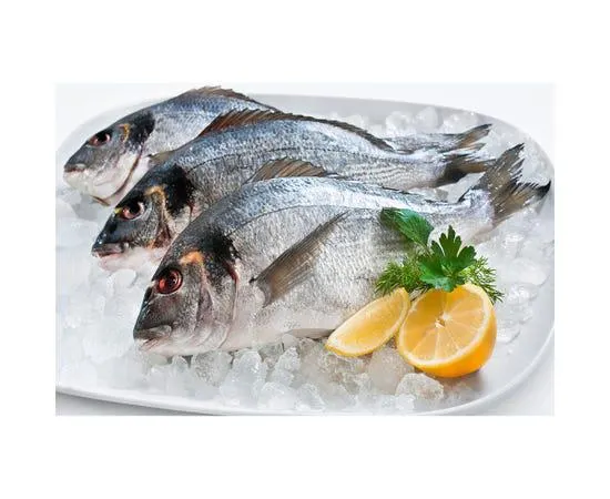 Sea Bream Fish - Turkey