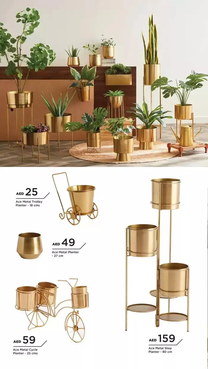 Outdoor Essentials from 2 November to 16 November 2024 - Offers page 22