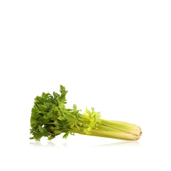 Celery kg