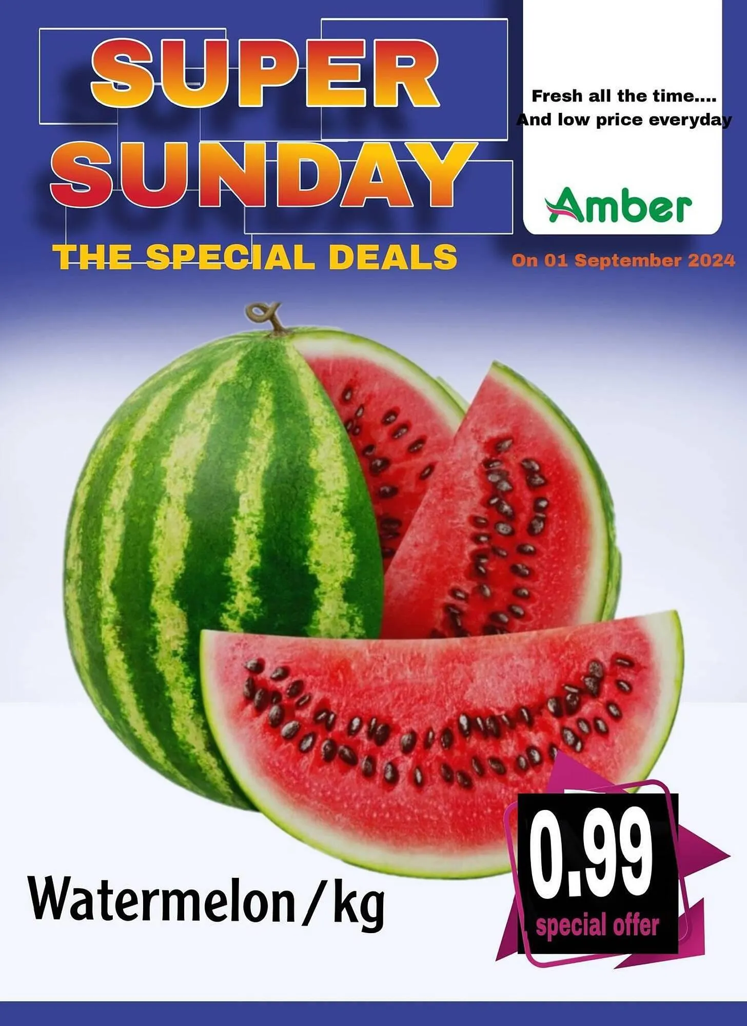 Amber catalogue - 1