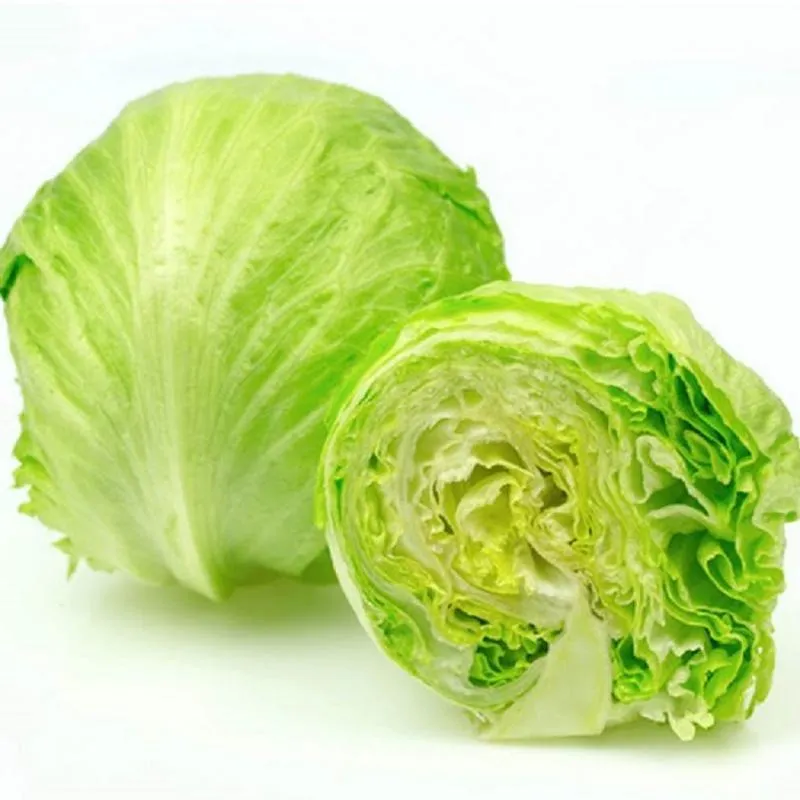 Lettuce Iceberg
