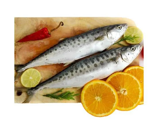 King Fish Small, UAE