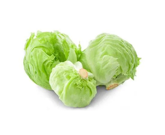 Lettuce Iceberge - Spain