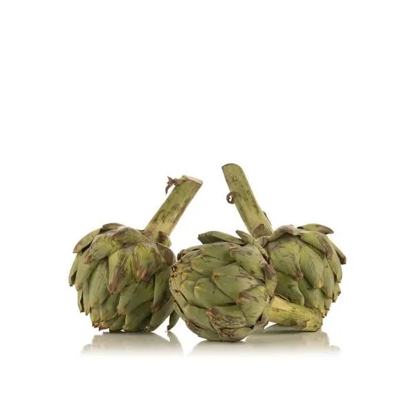 Camus artichoke France