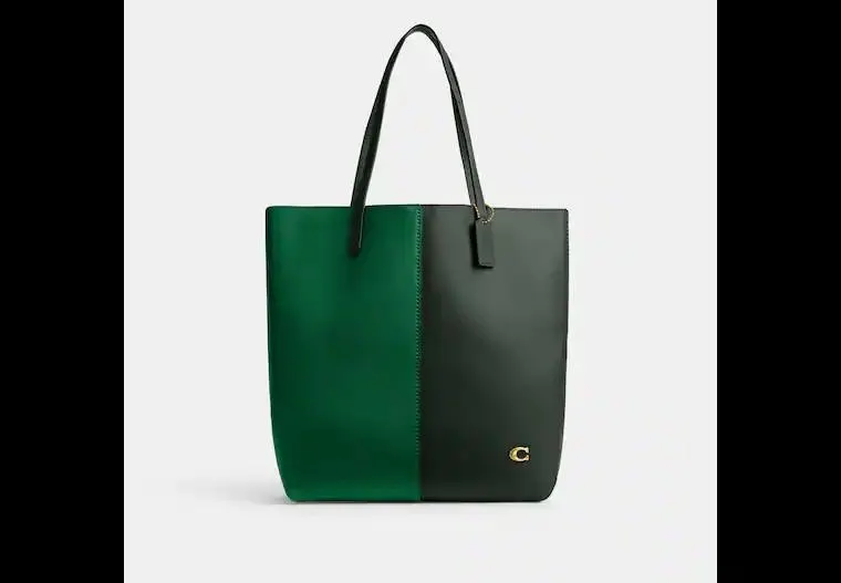 Nomad Tote In Colorblock