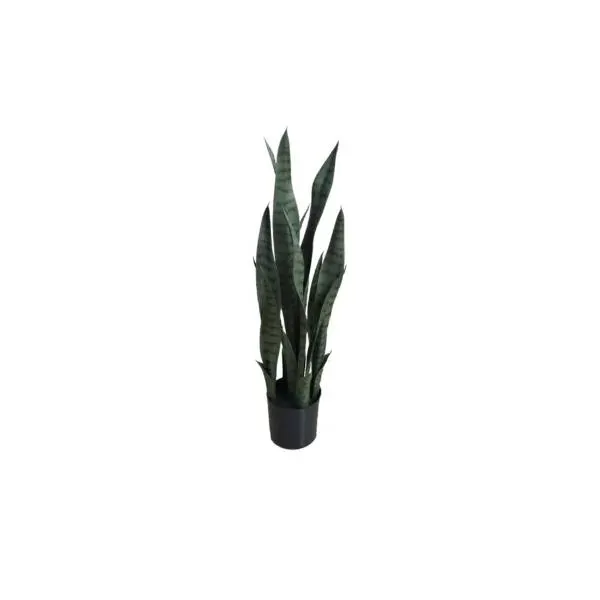 Plant 26″ Sansevieria