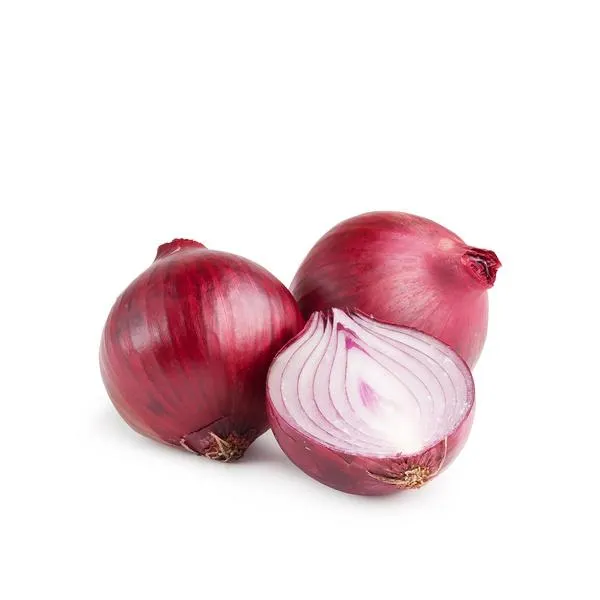 Red onion South Africa