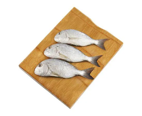 Fresh Cabet Fish - UAE