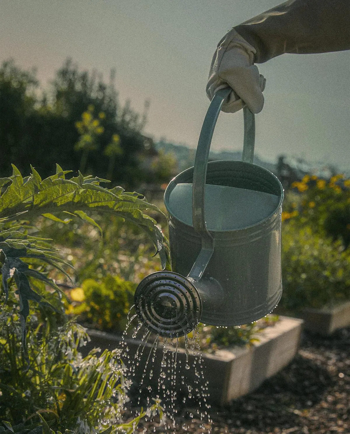 LACQUERED STEEL WATERING CAN