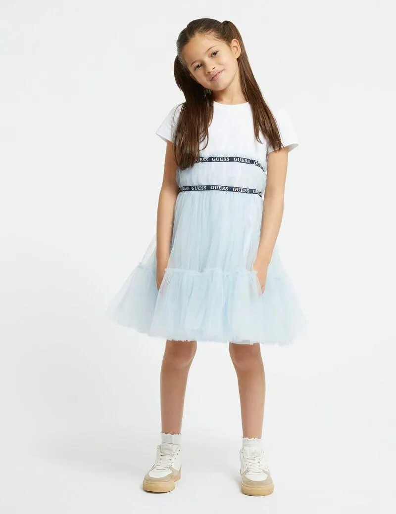 Mesh fit and flare dress