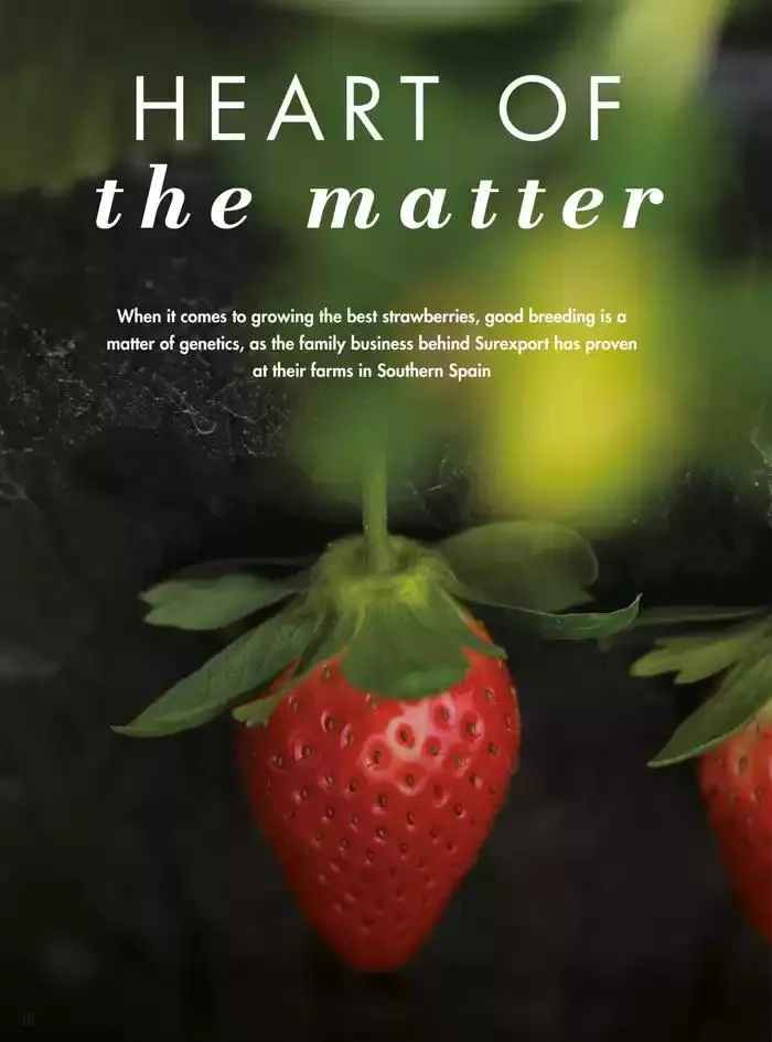 Moments That Matter from 4 March to 30 April 2025 - Offers page 38