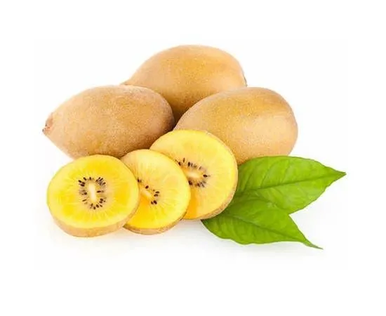 Golden Kiwi - Newzealand