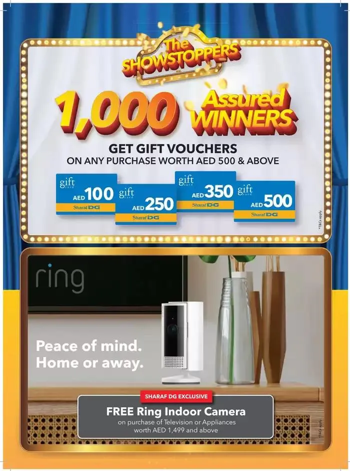 Sharaf DG promotion from 29 December to 12 January 2025 - Offers page 23