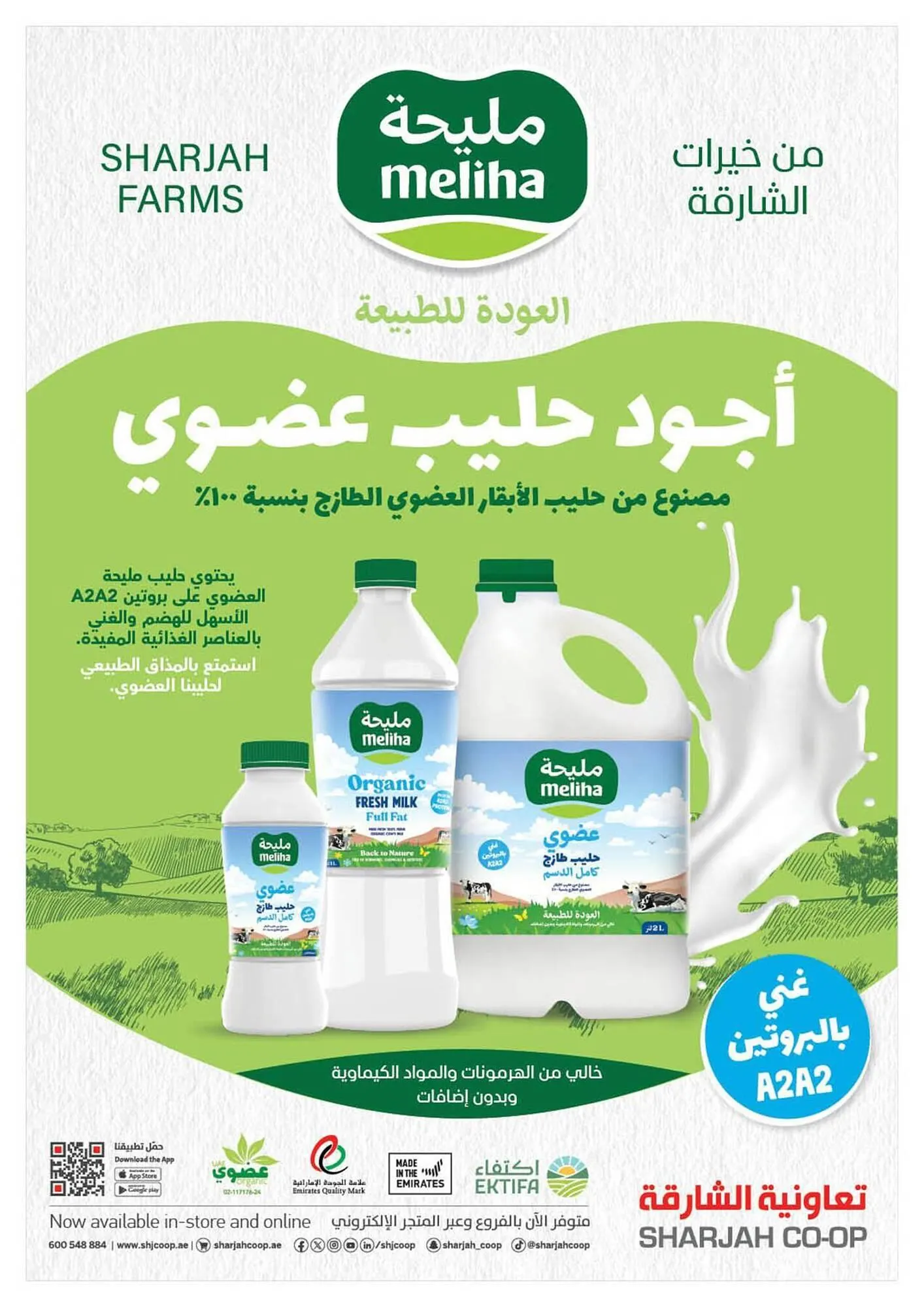 Sharjah Co-op catalogue from 4 October to 13 October 2024 - Offers page 14