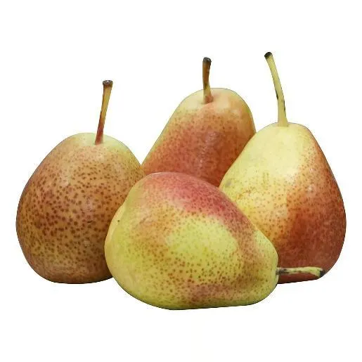 Pears South Africa