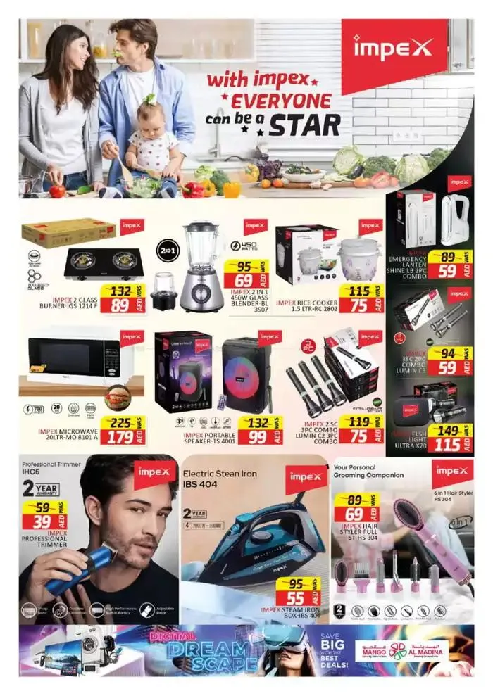 Al Madina promotion from 29 October to 12 November 2024 - Offers page 2