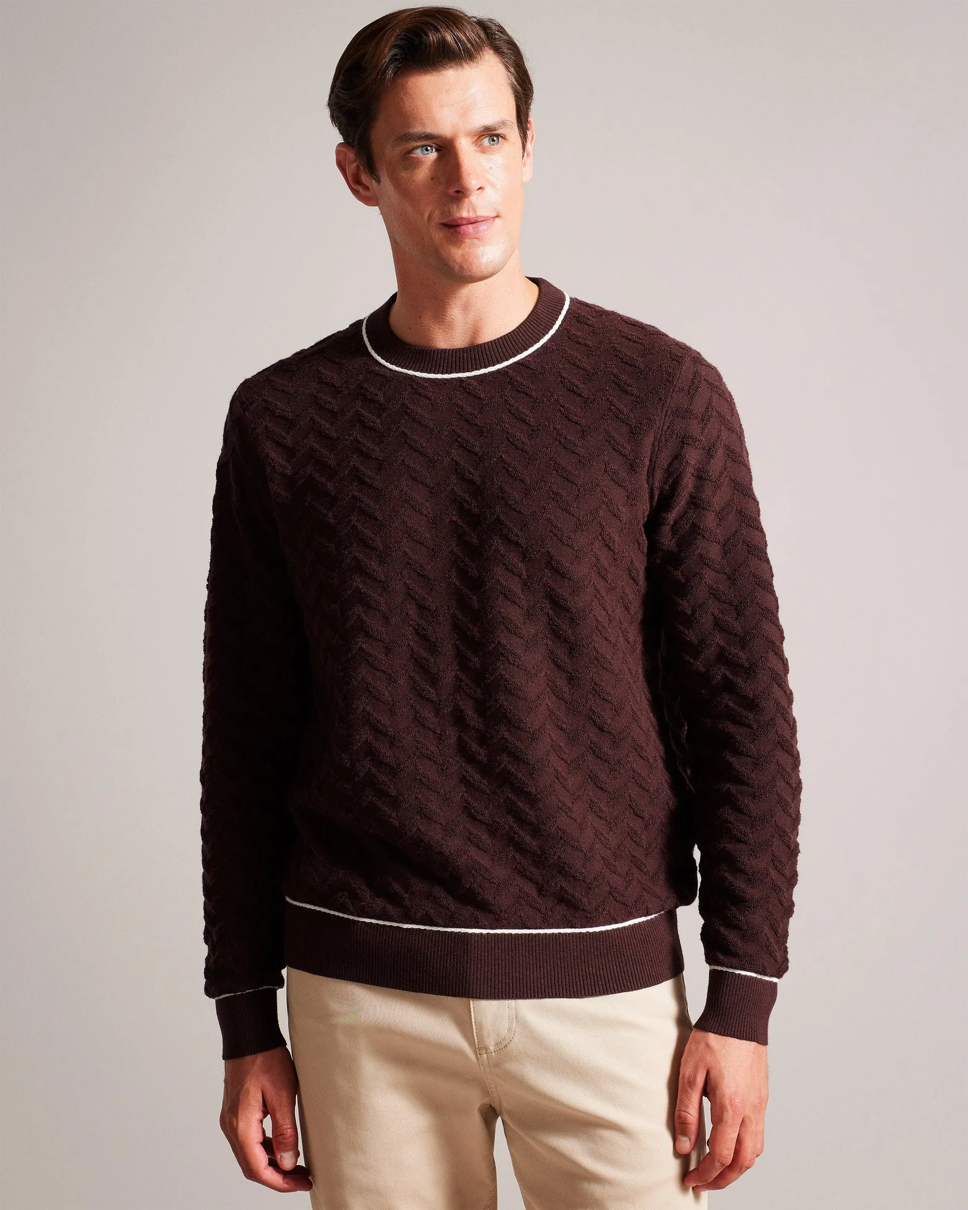 Sepal Ls Regular Textured Crew Neck Dp-Purple