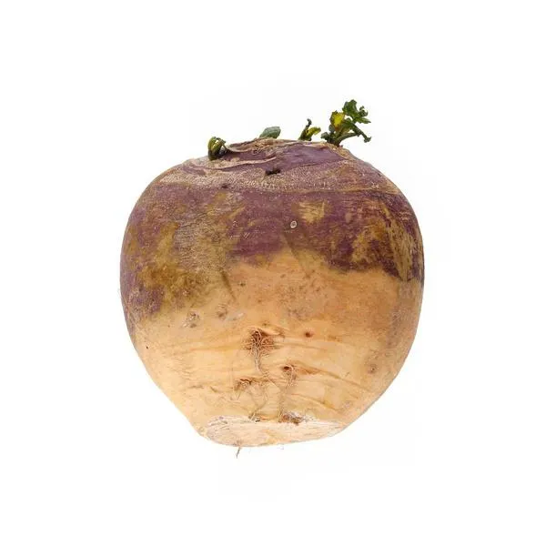 Holland Swede