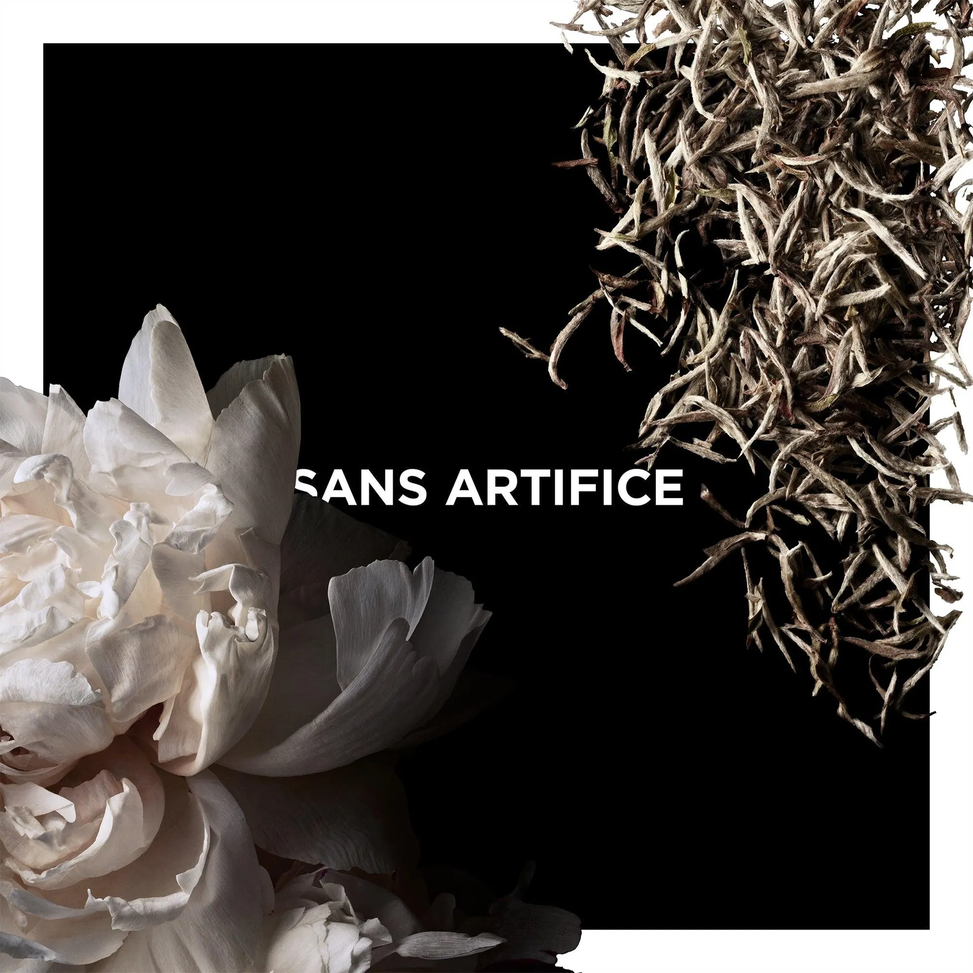 SANS ARTIFICE
