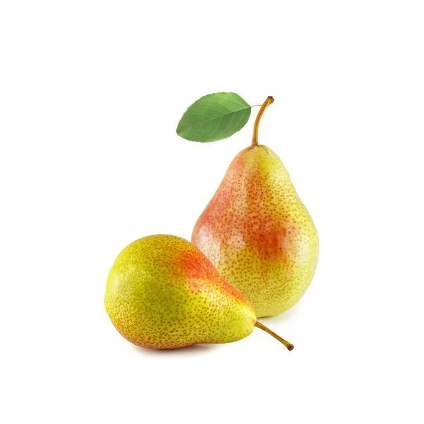 Rosemary Pears South Africa