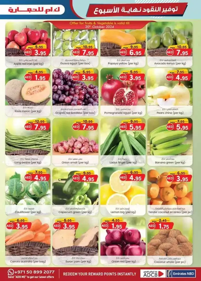 Weekend Money Saver - Fujairah from 23 October to 6 November 2024 - Offers page 30