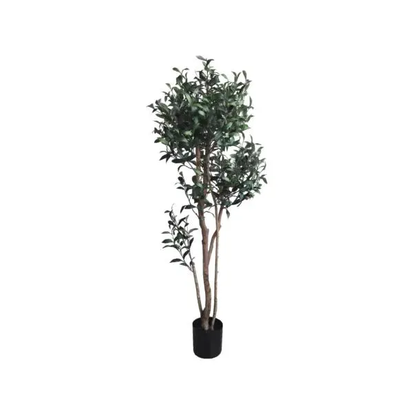 American Olive Tree 60″ New Mountain Style