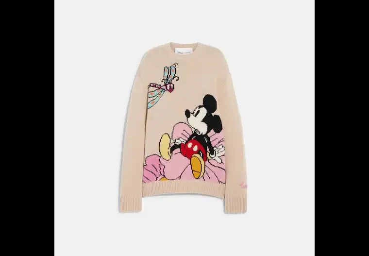 Disney X Coach Crewneck Sweater