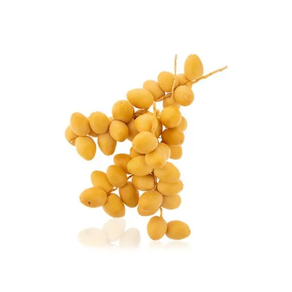 Namibian fresh dates