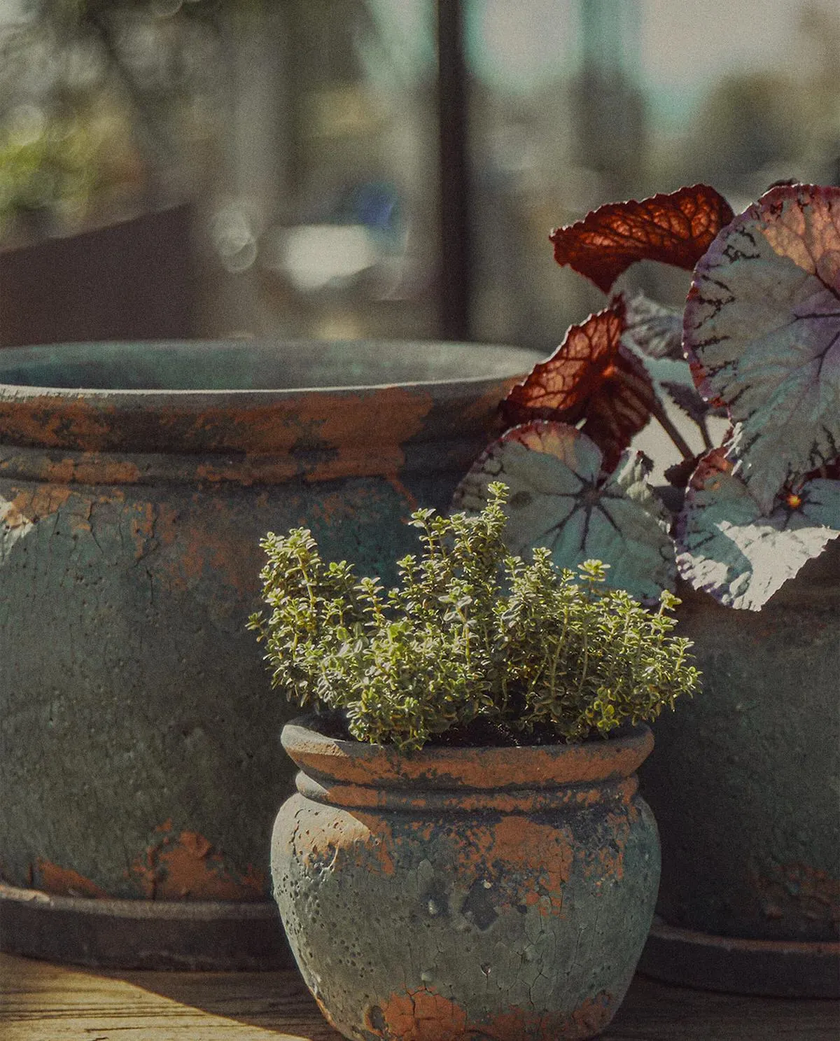 TERRACOTTA FLOWERPOT WITH SAUCER | LARGE