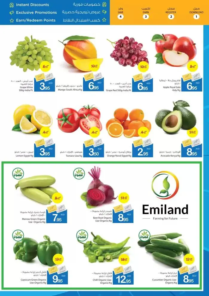 Ajman Market promotion from 10 January to 17 January 2025 - Offers page 2