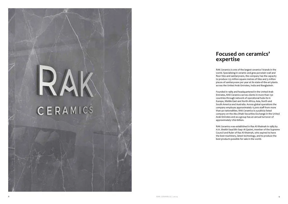 Surfaces Porcelain and Ceramics 2024 from 2 February to 31 December 2024 - Offers page 6