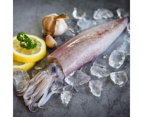 Big Fresh Squid - UAE