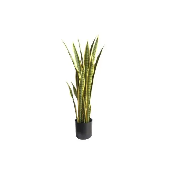 Plant 44″ Sansevieria
